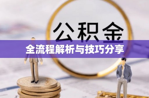 青山全流程解析与技巧分享