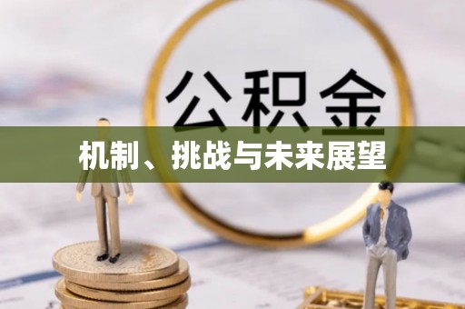 青山机制、挑战与未来展望